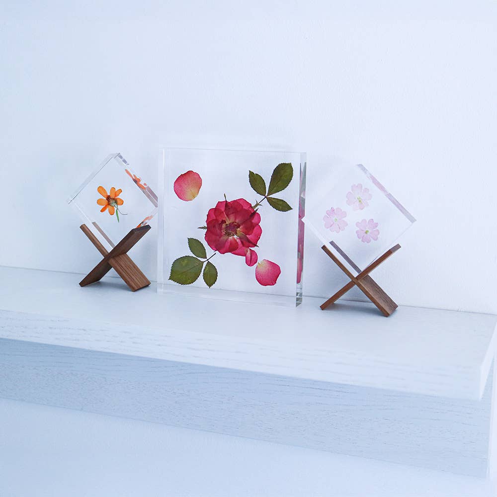 Rose / Large Sola Cube - Image 2