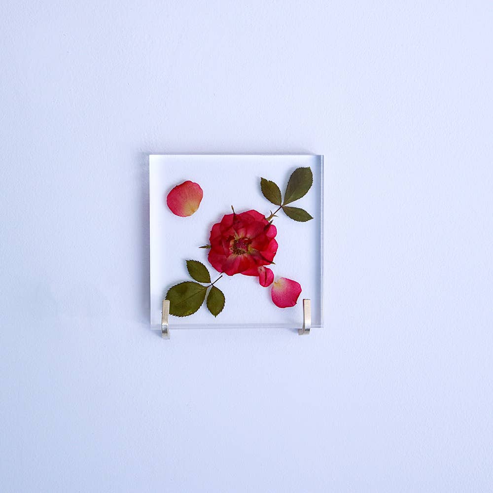 Rose / Large Sola Cube - Image 3