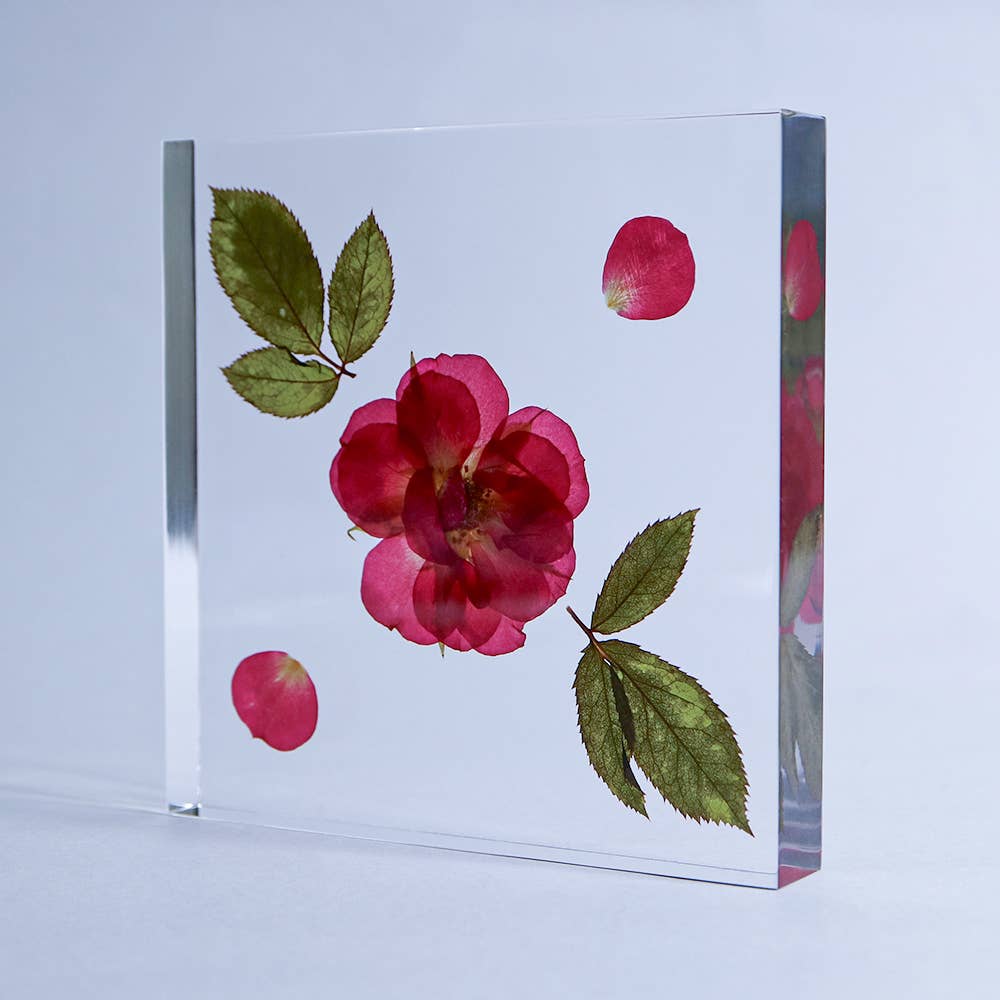 Rose / Large Sola Cube - Image 4