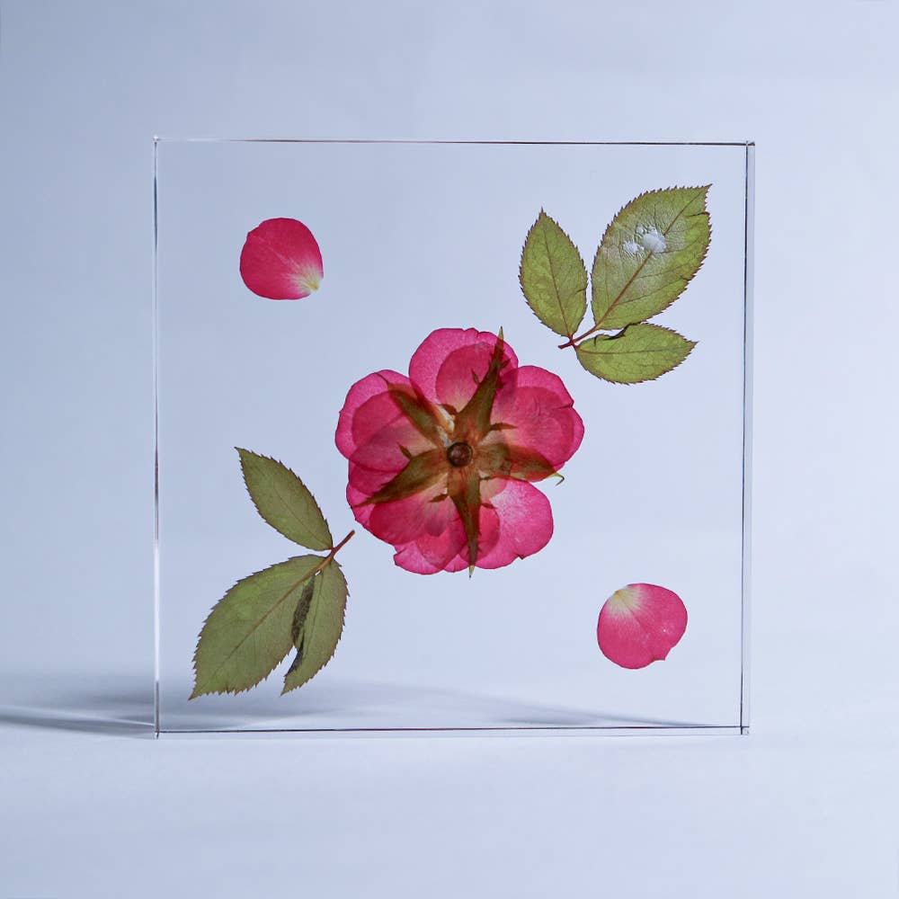 Rose / Large Sola Cube - Image 6