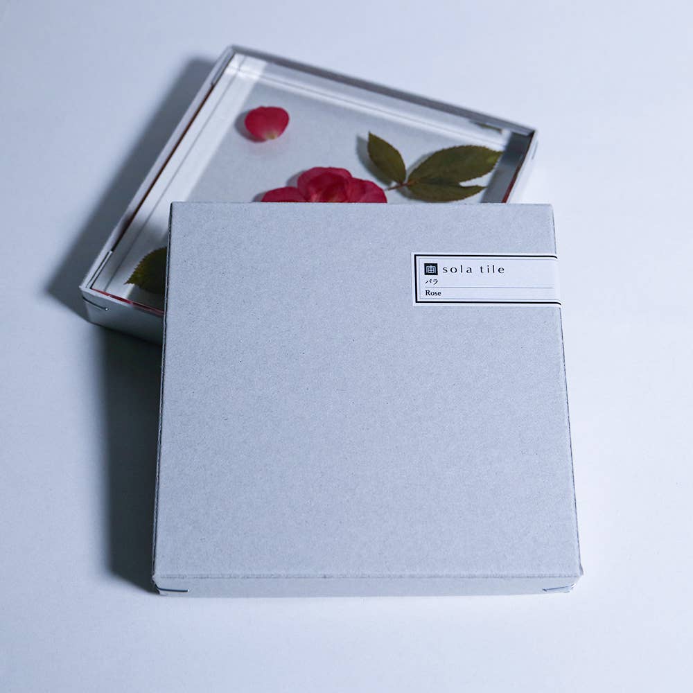 Rose / Large Sola Cube - Image 7