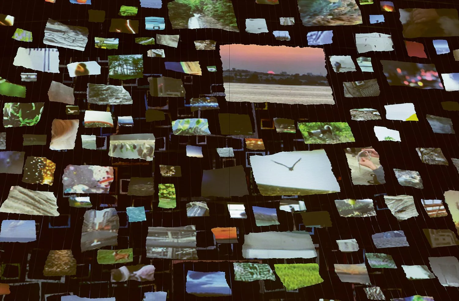 Sarah Sze - Image 4