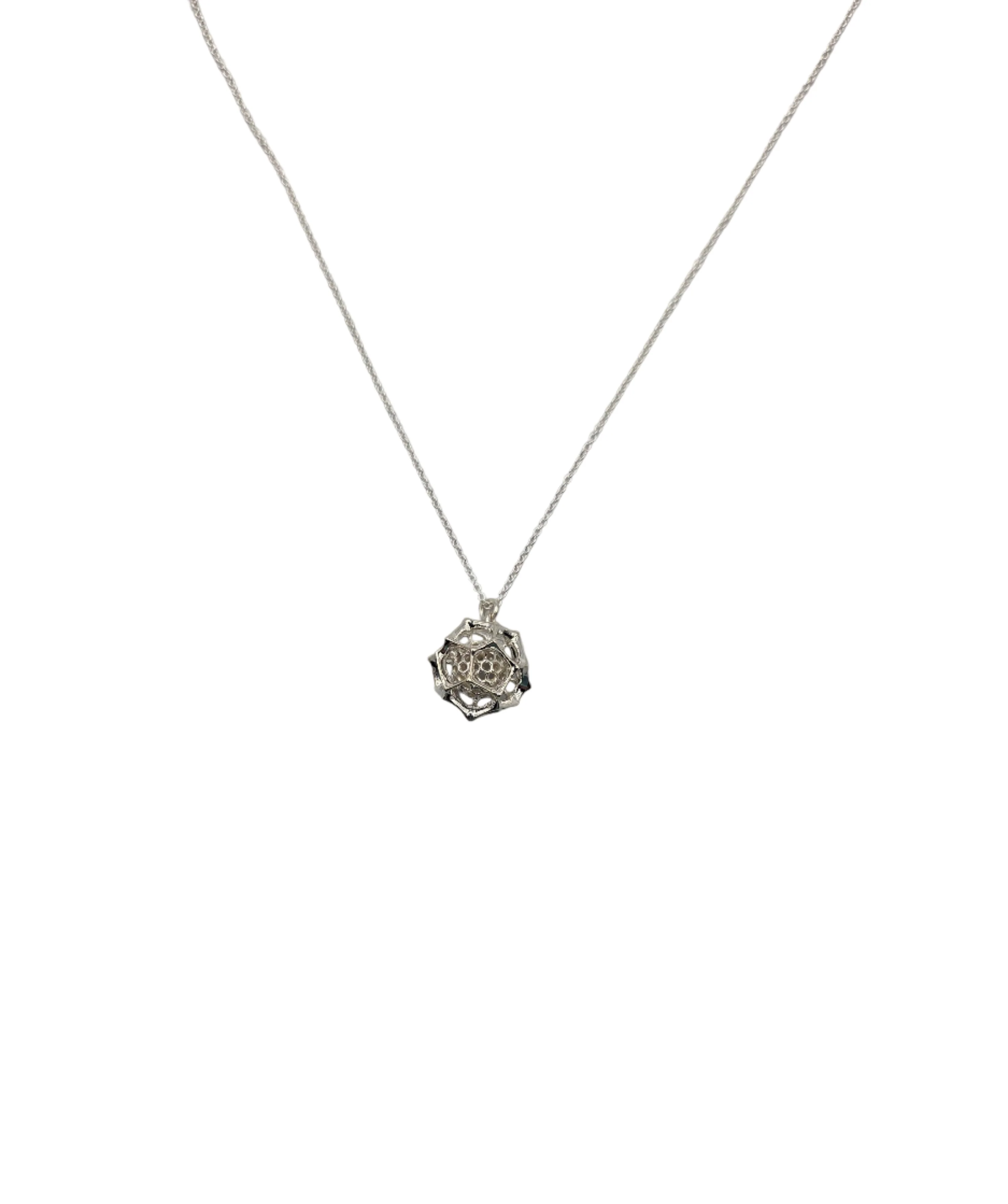 Radiozoa Orb Pendant