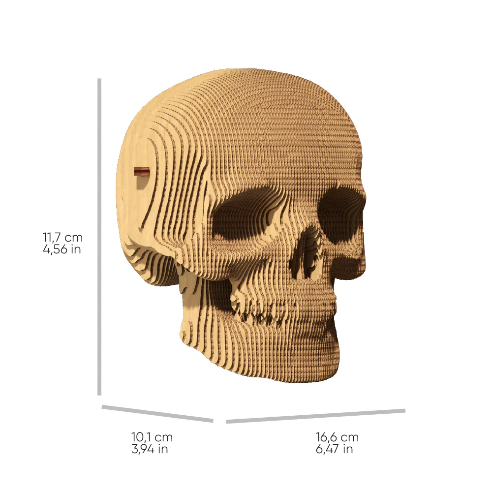 Skull 3D Puzzle - Image 3