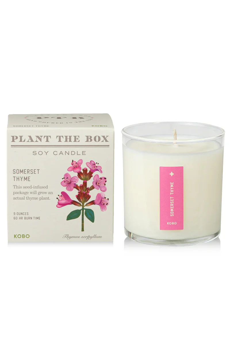 Somerset Thyme Candle with Plantable box