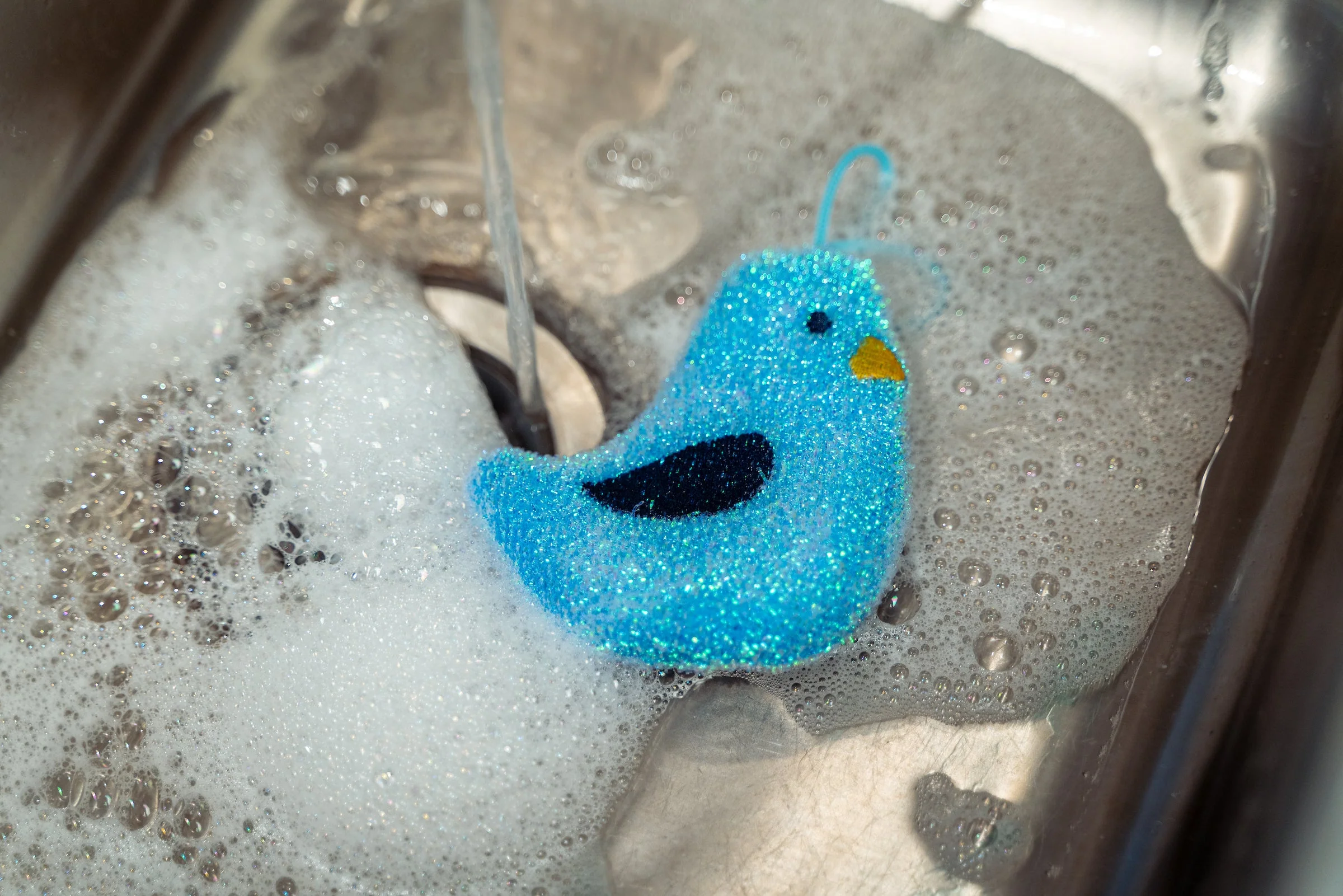 Songbird Scrubber - Image 3