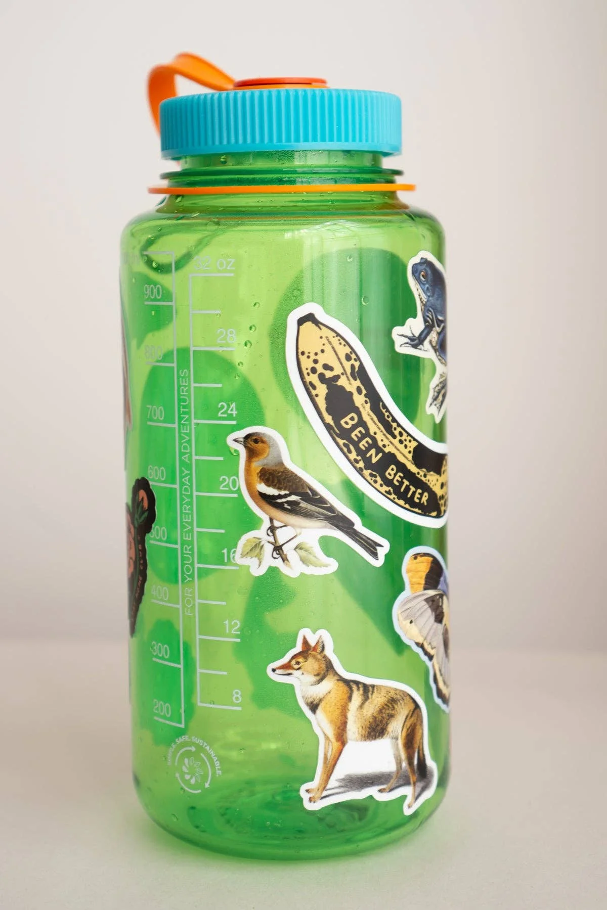 Stoic Finch - Gap Filler Sticker - Image 2