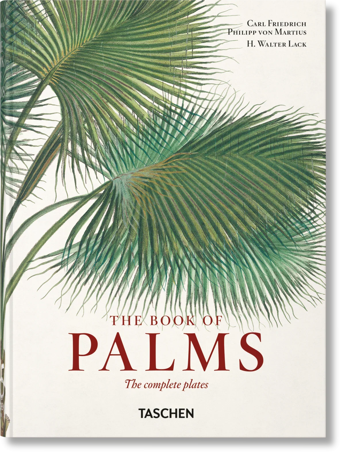 The Book of Palms. 40th Ed
