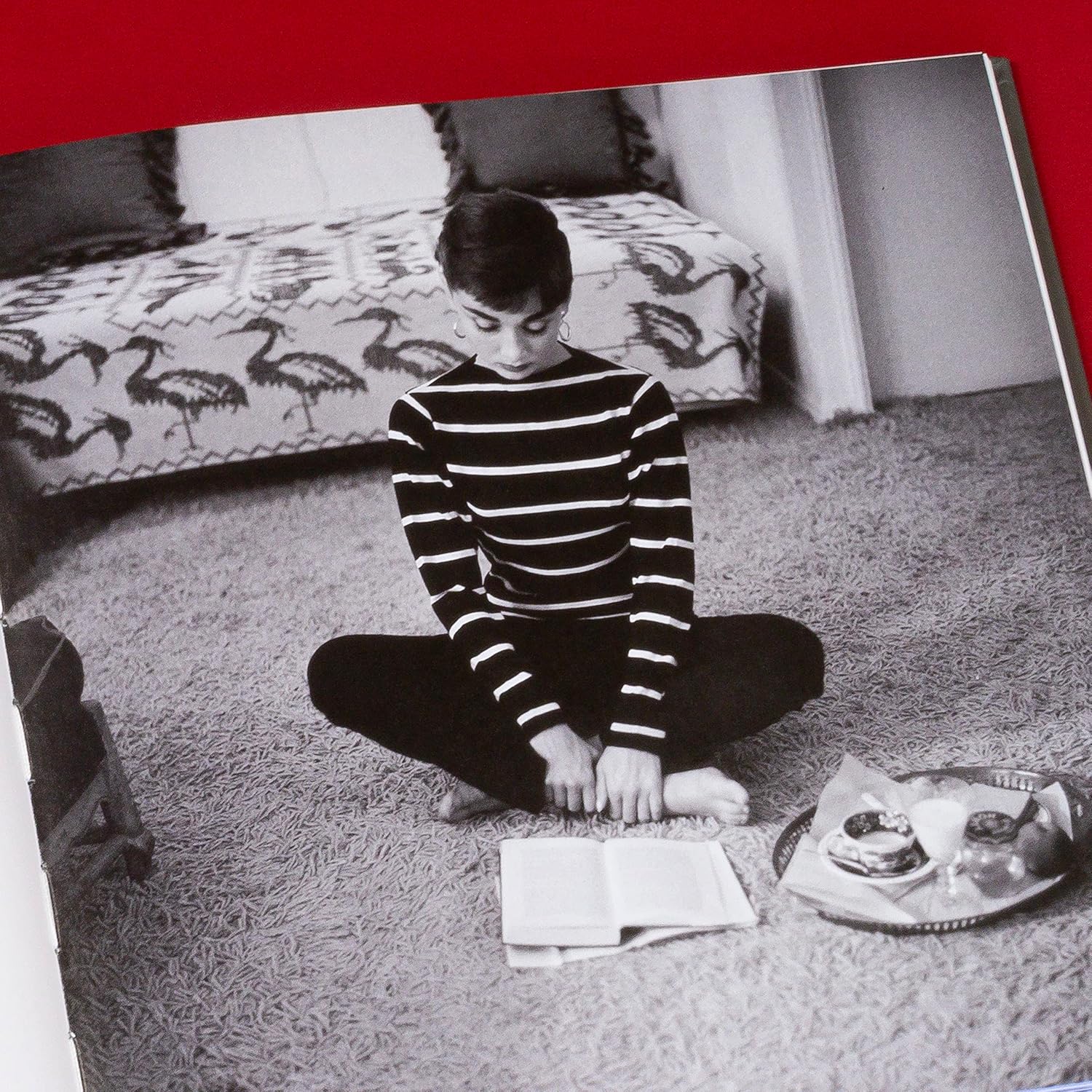 The Hollywood Book Club - Image 3