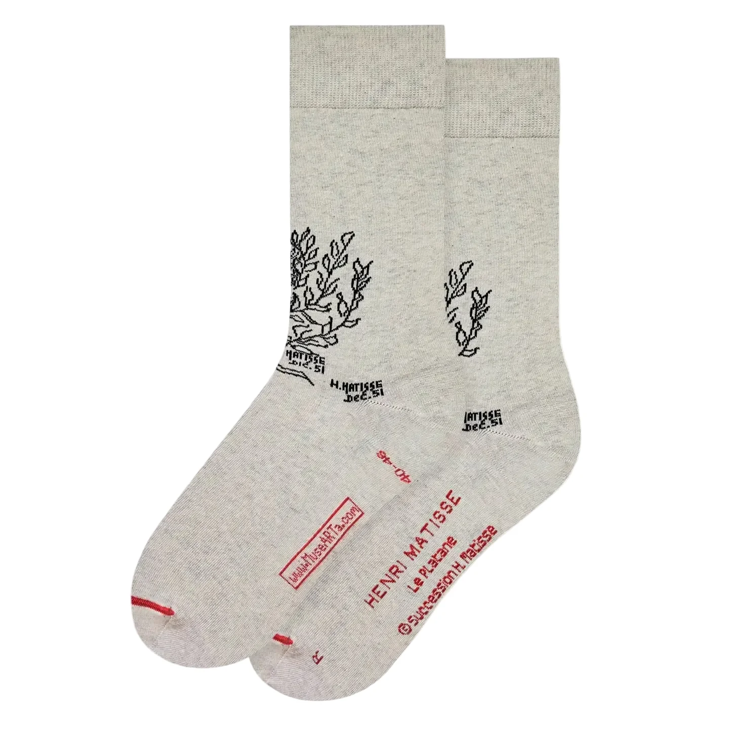 Henri Matisse - The Plane Tree Socks