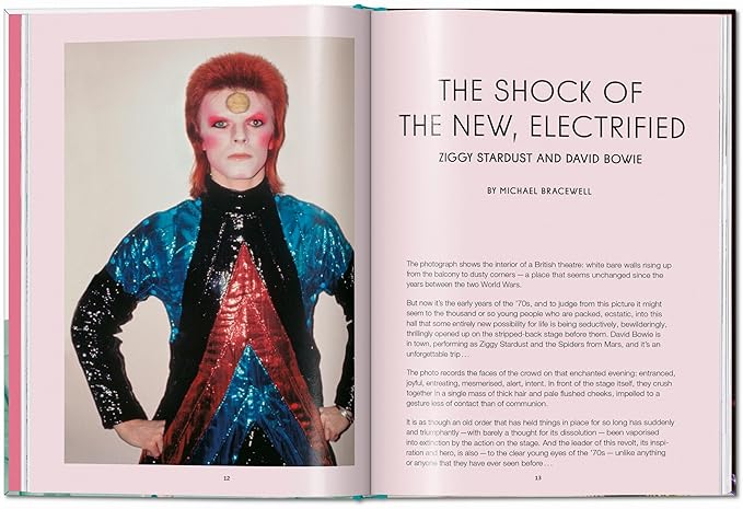 The Rise of David Bowie 1972-1973 - Image 3