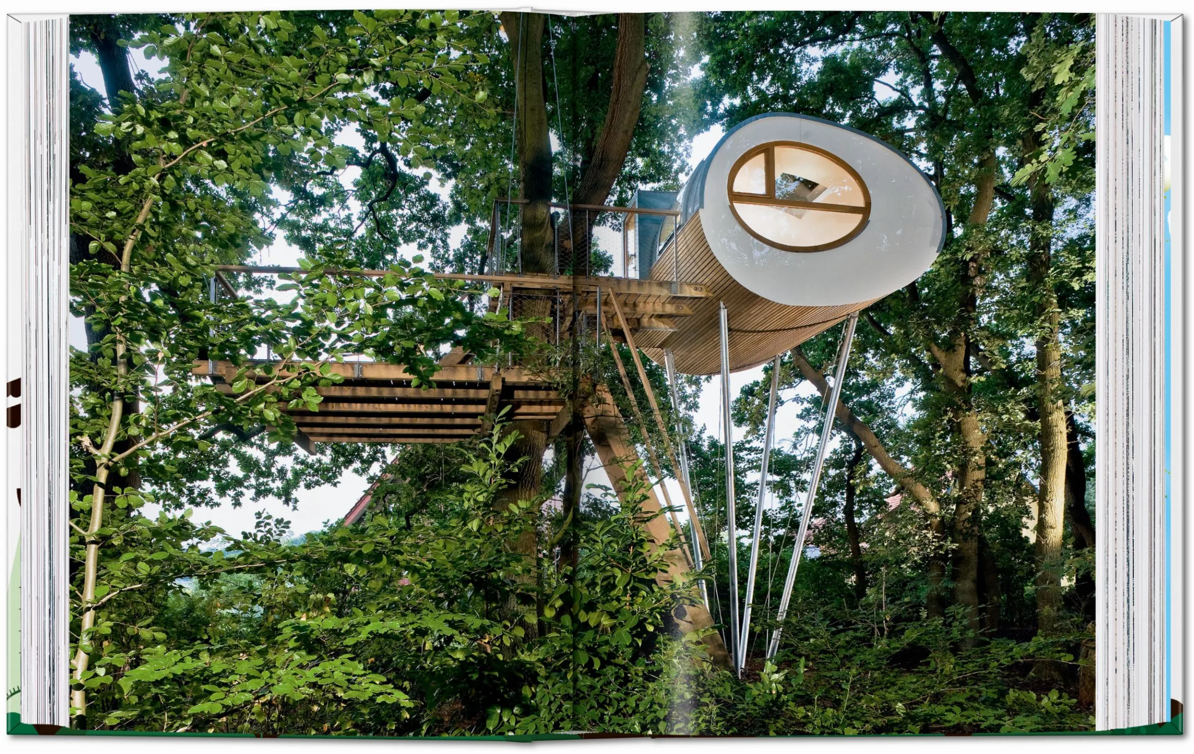 Tree Houses 40th Ed - Image 4