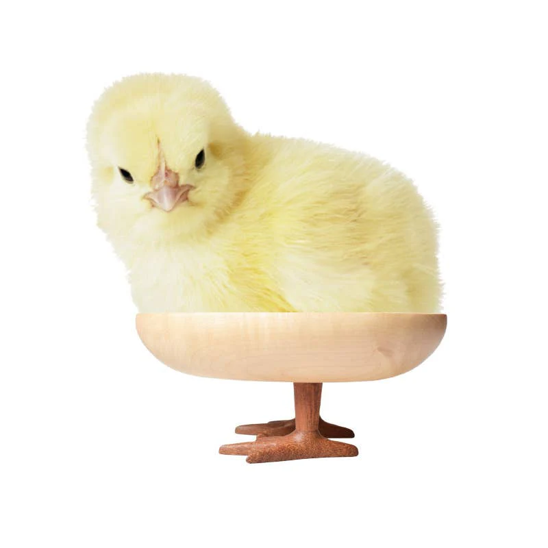 Walking Egg Tray - Image 3