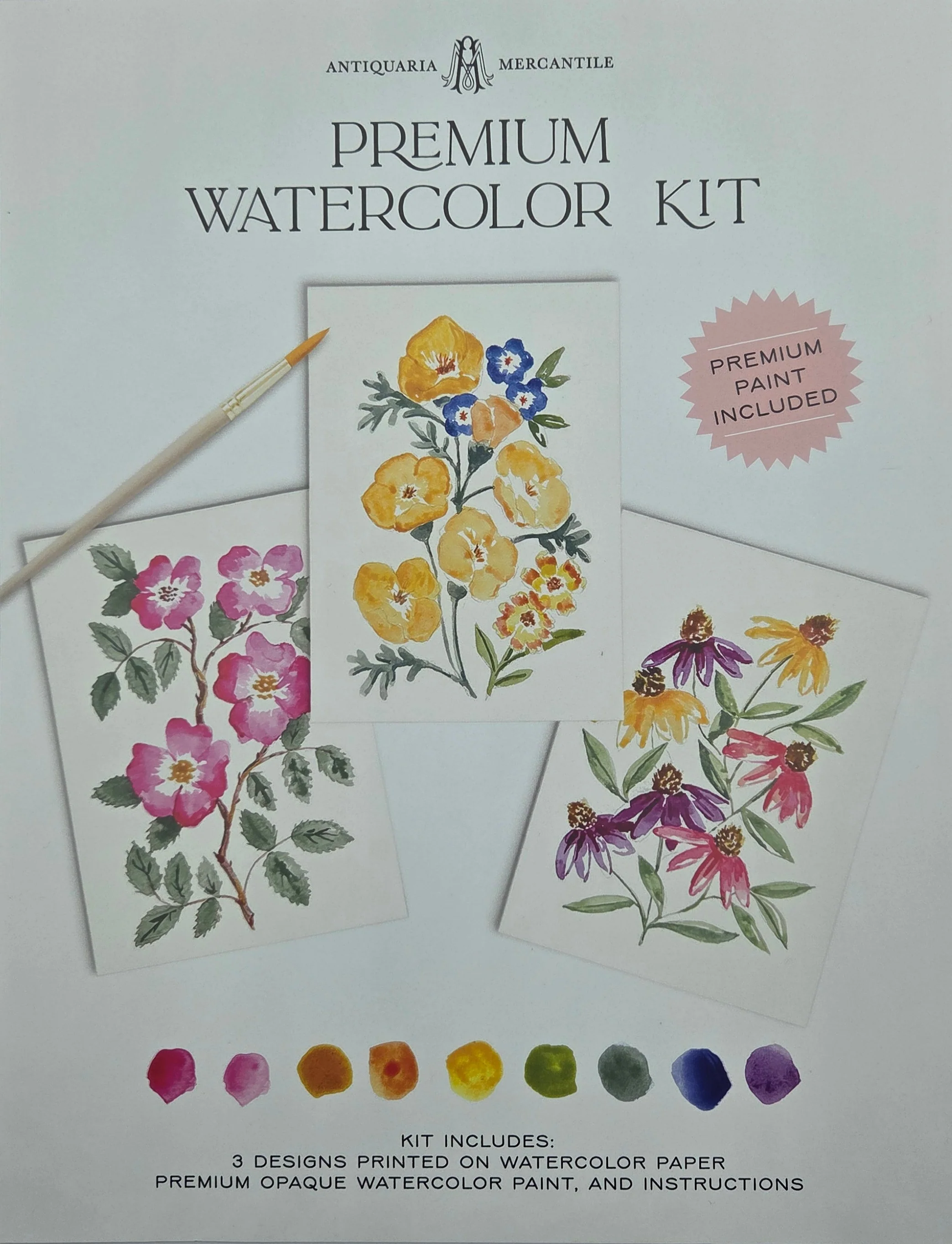 Watercolor Painting Kit : Wildflowers No1