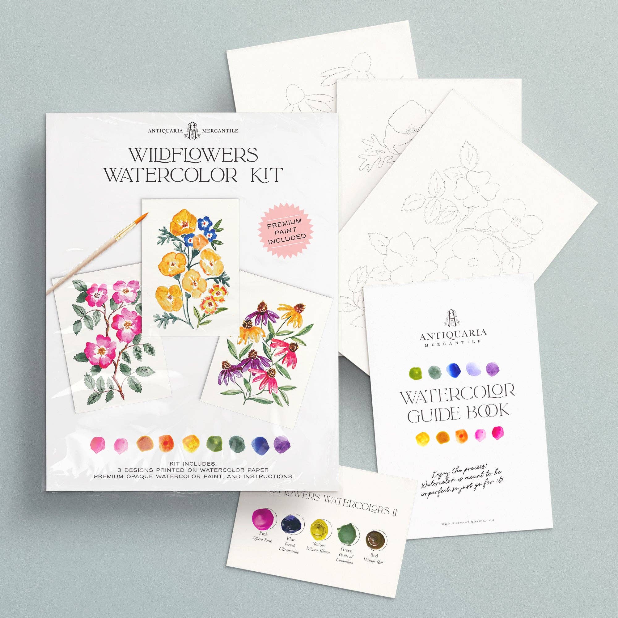 Watercolor Painting Kit : Wildflowers No1 - Image 3
