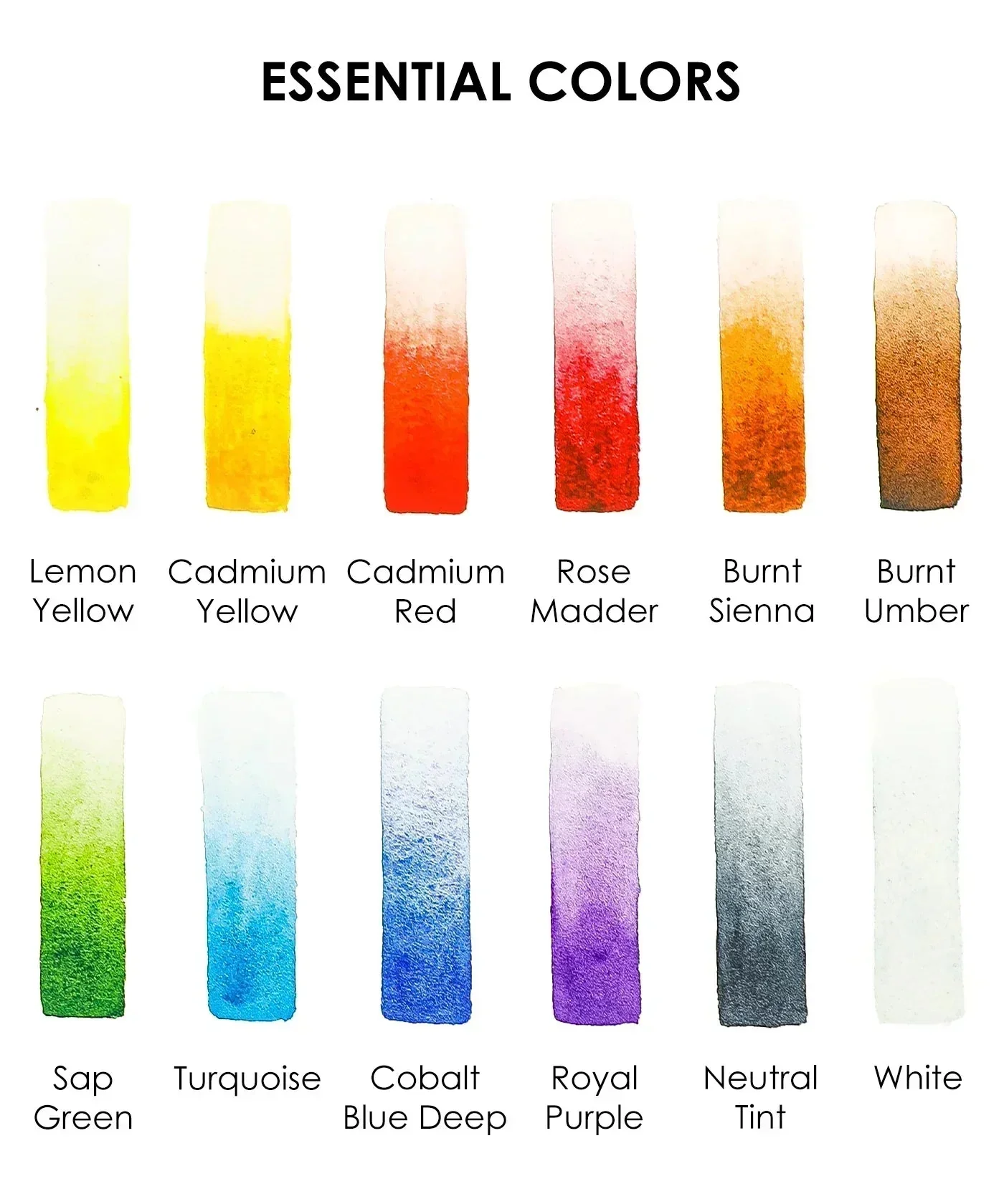 Watercolor Pocket Set of 12 with Brush - Essential Colors - Image 2