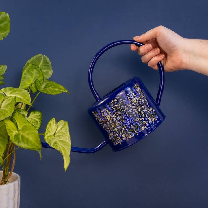 Watering Can - Image 5