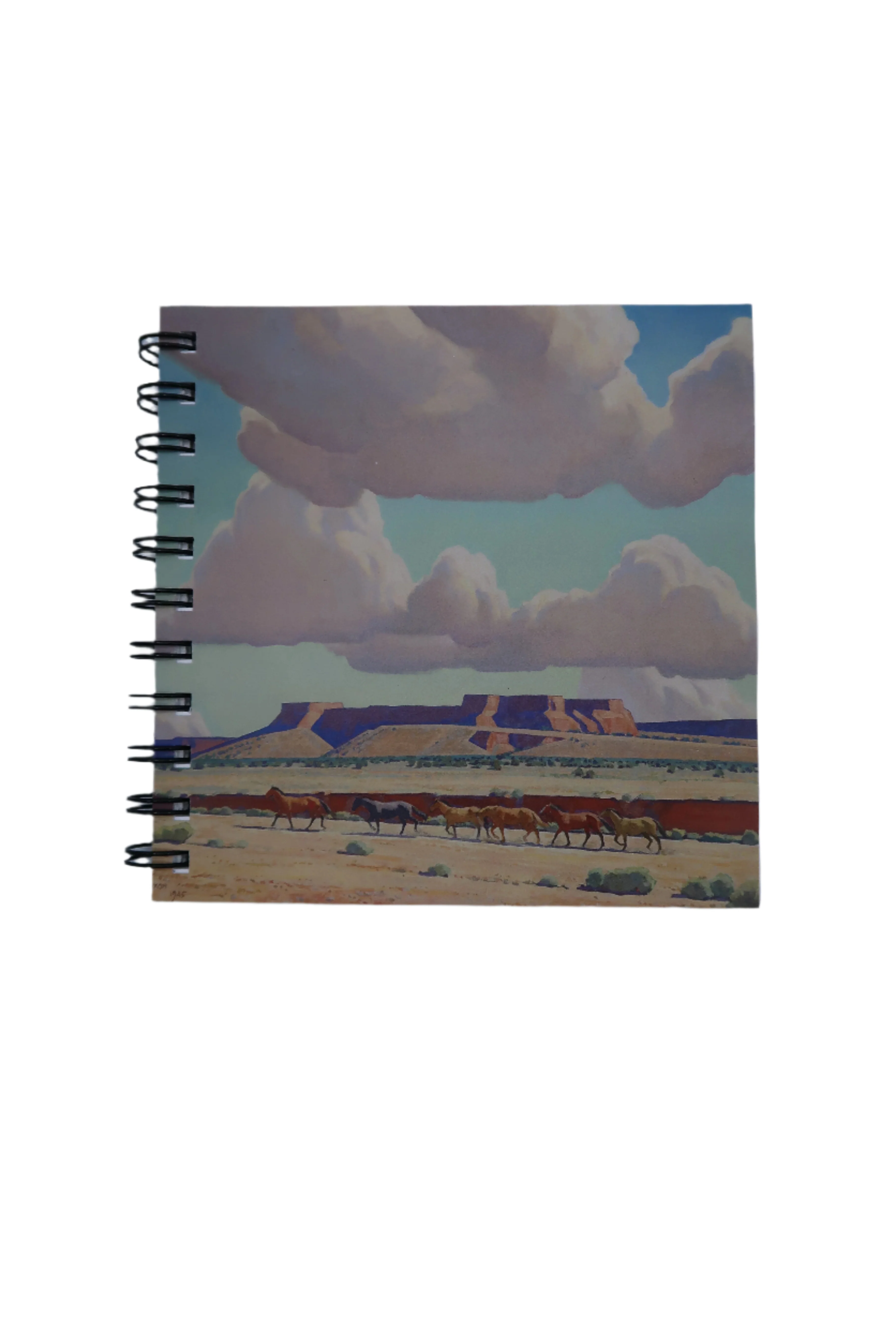 Wide lands of the Navajo Square Notepad