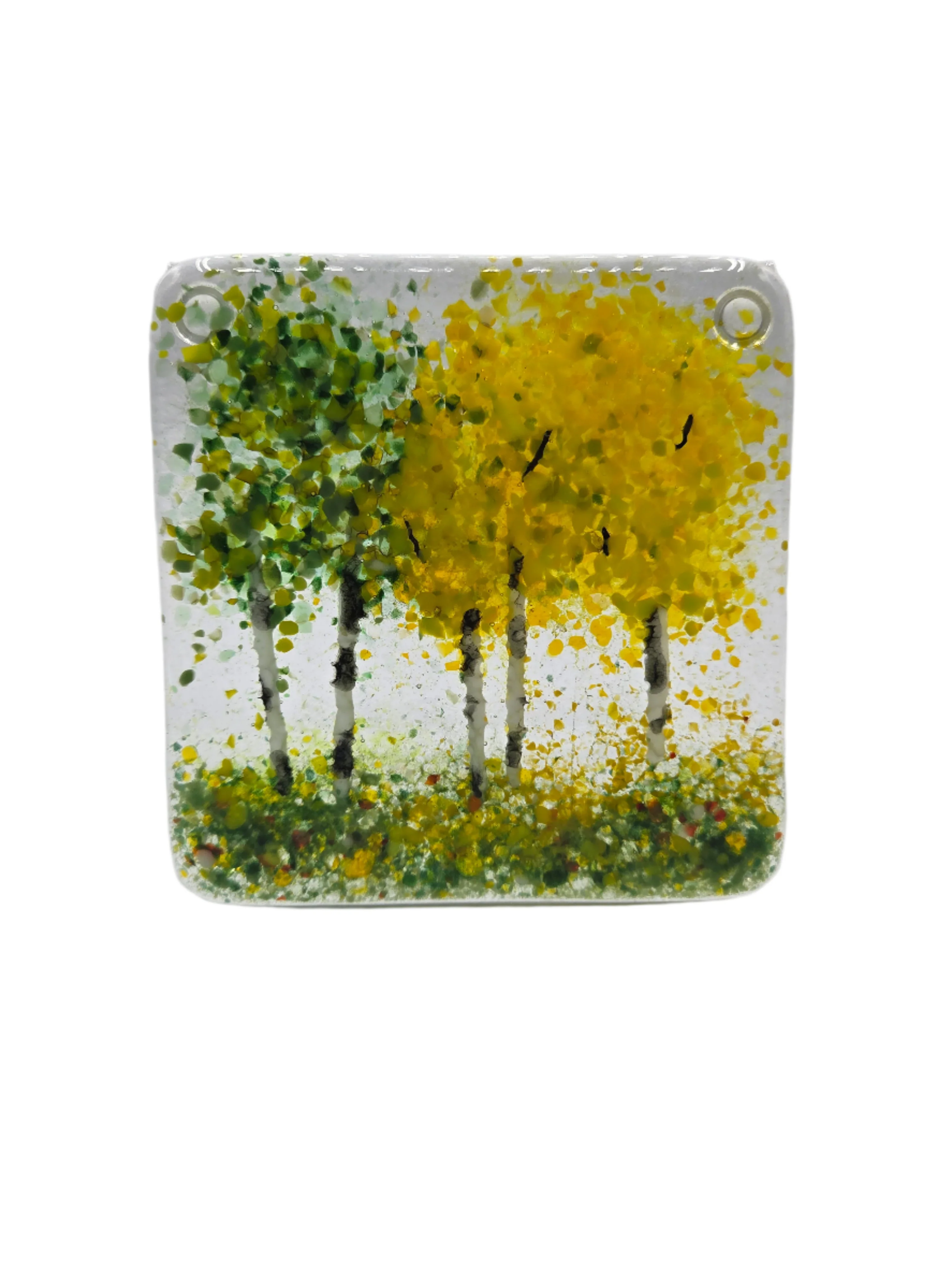 Yellow Green Aspen Tree Coaster